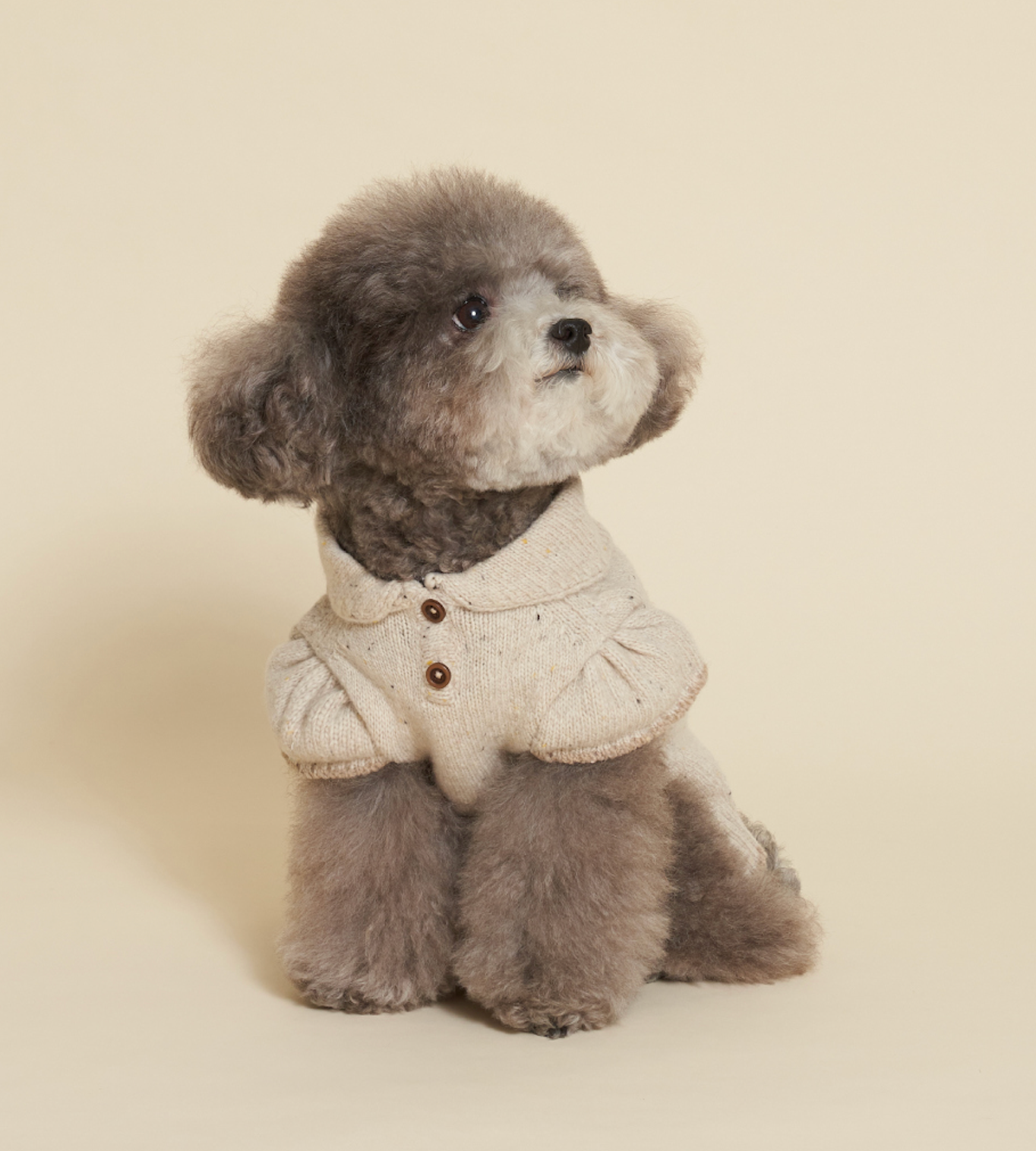 NEW★予約商品★　【🇰🇷MEANINGLUS】ミーニングロス スカーフニット