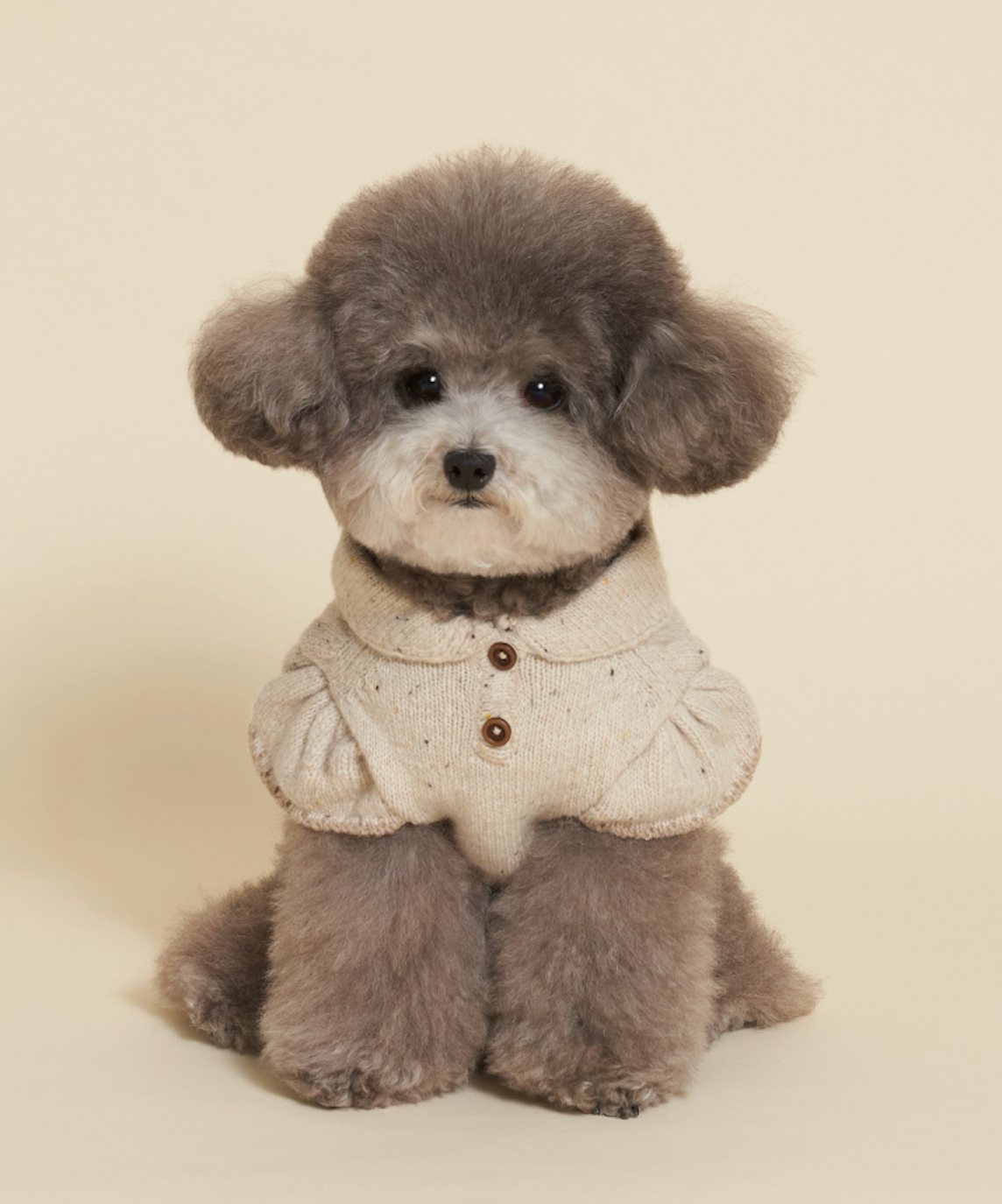 NEW★予約商品★　【🇰🇷MEANINGLUS】ミーニングロス スカーフニット