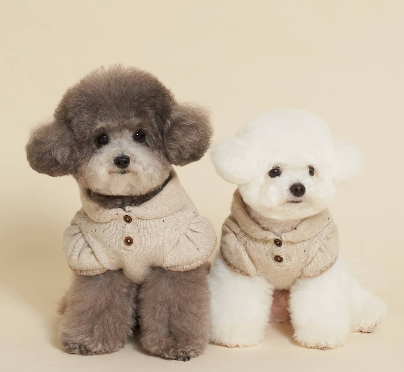 NEW★予約商品★　【🇰🇷MEANINGLUS】ミーニングロス スカーフニット