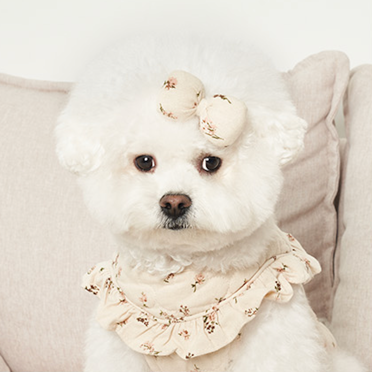 ★NEW★即納【正規販売店】Bailey コットンフラワー リボンピン＿アイボリー