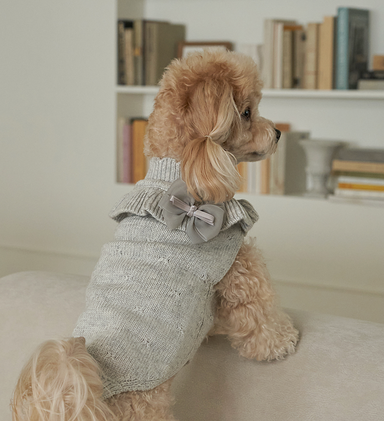 ★NEW★即納【正規販売店】Bailey Aleeyフリルニット_グレー　※ブローチ付き