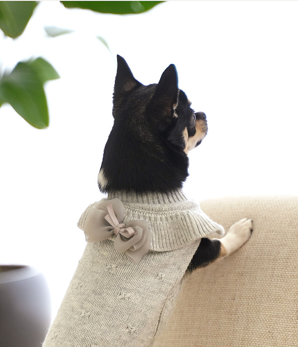 ★NEW★即納【正規販売店】Bailey Aleey リボンブローチ&リボンピン