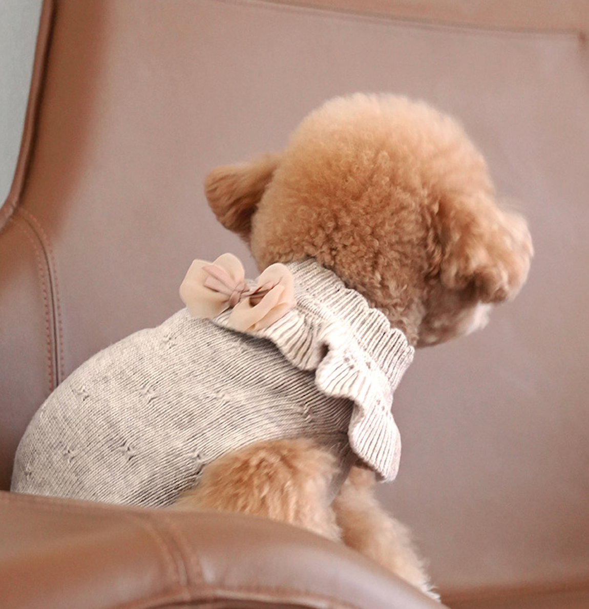 ★NEW★即納【正規販売店】Bailey Aleey リボンブローチ&リボンピン