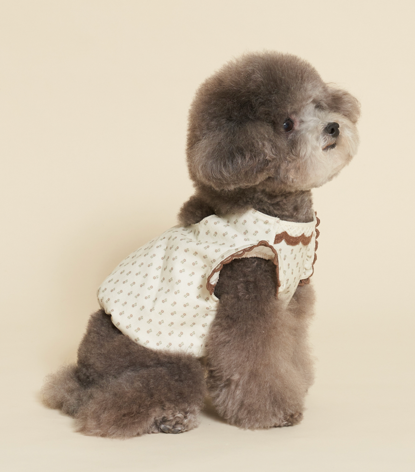 NEW ★予約商品★　【🇰🇷MEANINGLUS】BACKLESS SHIRTS＿バックレスシャツ