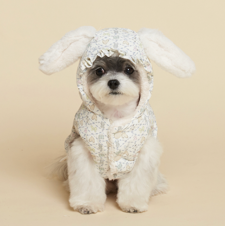 NEW ★予約商品★　【🇰🇷MEANINGLUS】CANDY PADDING _キャンディパディング