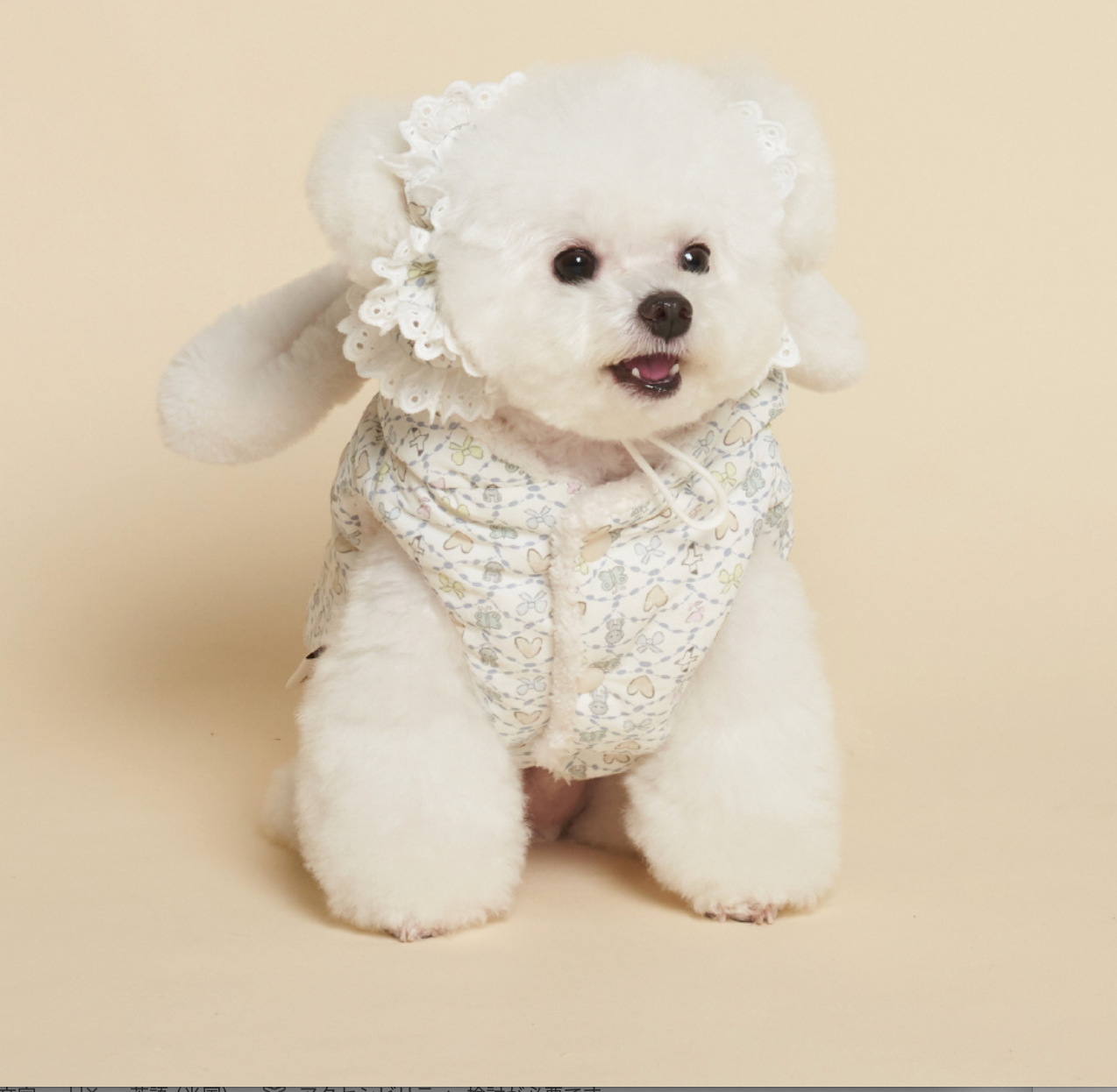 NEW ★予約商品★　【🇰🇷MEANINGLUS】CANDY PADDING _キャンディパディング