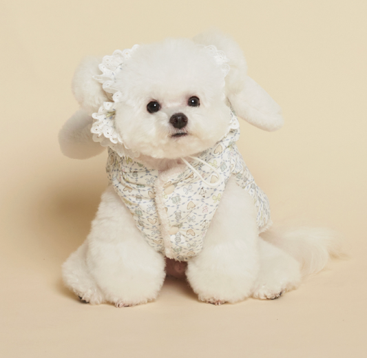 NEW ★予約商品★　【🇰🇷MEANINGLUS】CANDY PADDING _キャンディパディング