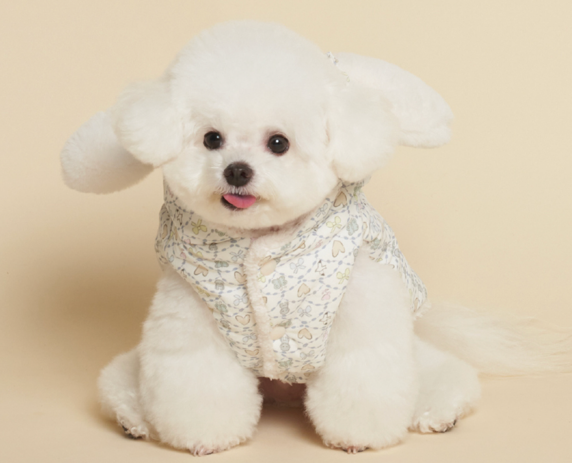 NEW ★予約商品★　【🇰🇷MEANINGLUS】CANDY PADDING _キャンディパディング