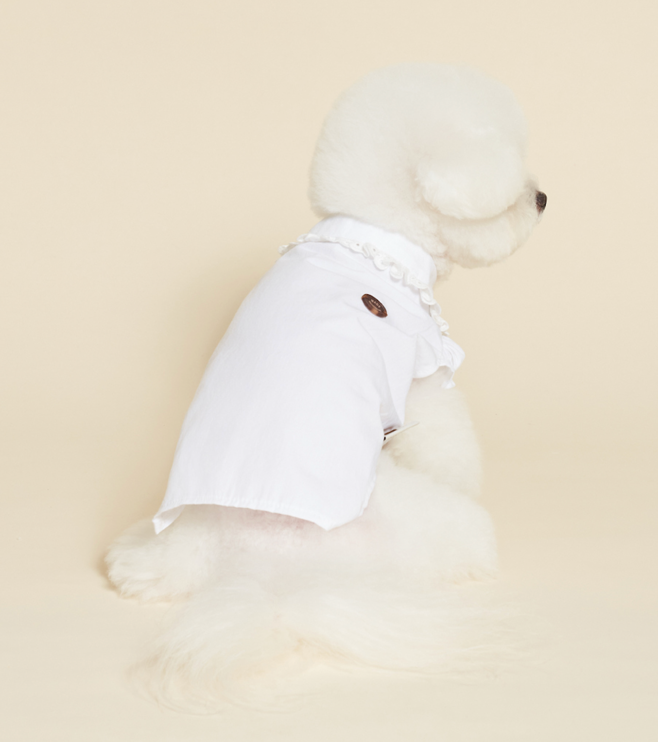 NEW ★予約商品★　【🇰🇷MEANINGLUS】point shirts　ミーニングロス ポイントシャツ