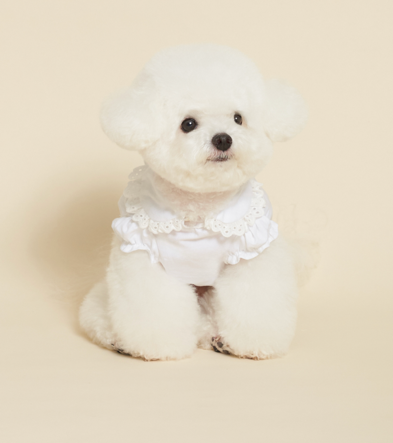 NEW ★予約商品★　【🇰🇷MEANINGLUS】point shirts　ミーニングロス ポイントシャツ