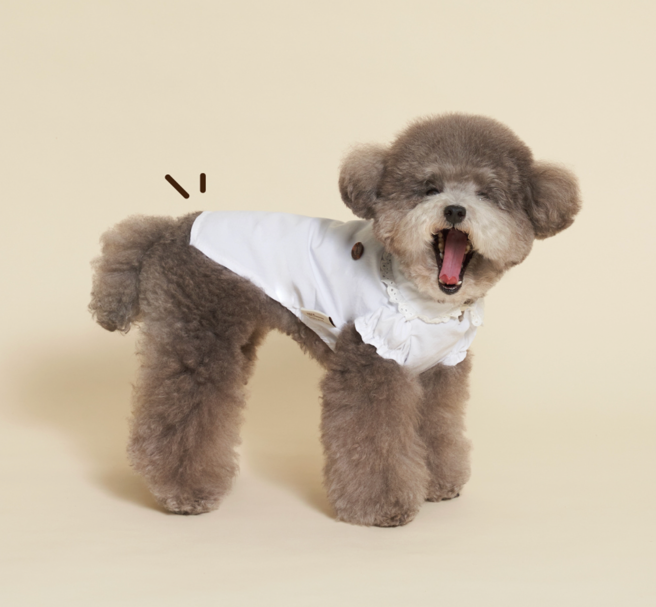 NEW ★予約商品★　【🇰🇷MEANINGLUS】point shirts　ミーニングロス ポイントシャツ