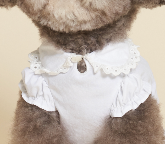 NEW ★予約商品★　【🇰🇷MEANINGLUS】point shirts　ミーニングロス ポイントシャツ