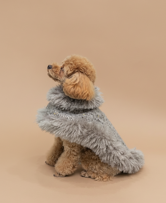 予約商品【BONDIR】Sable Cape ｜※Alpaca Wool Tweed