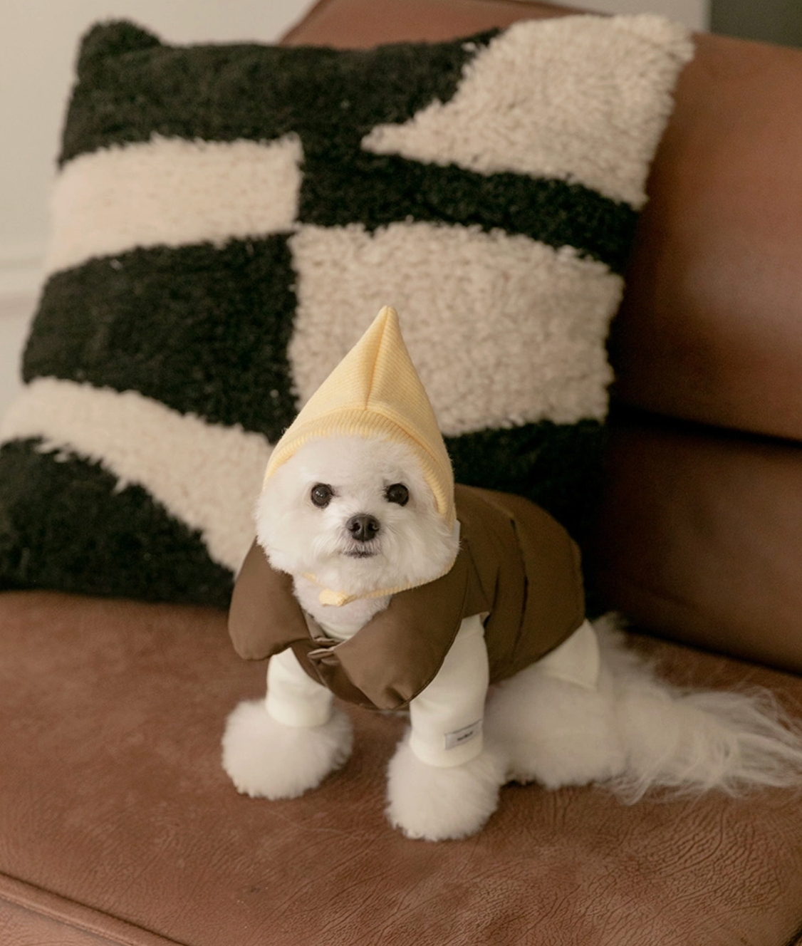 即納【todley】Aura Goose Down