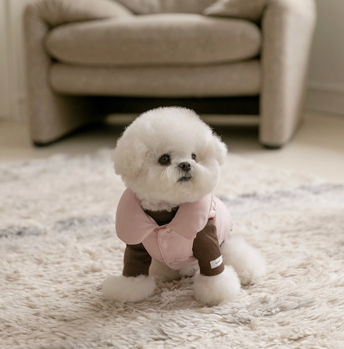 ★即納【todley】Aura Goose Down ｜トドリー アウラ ダウン