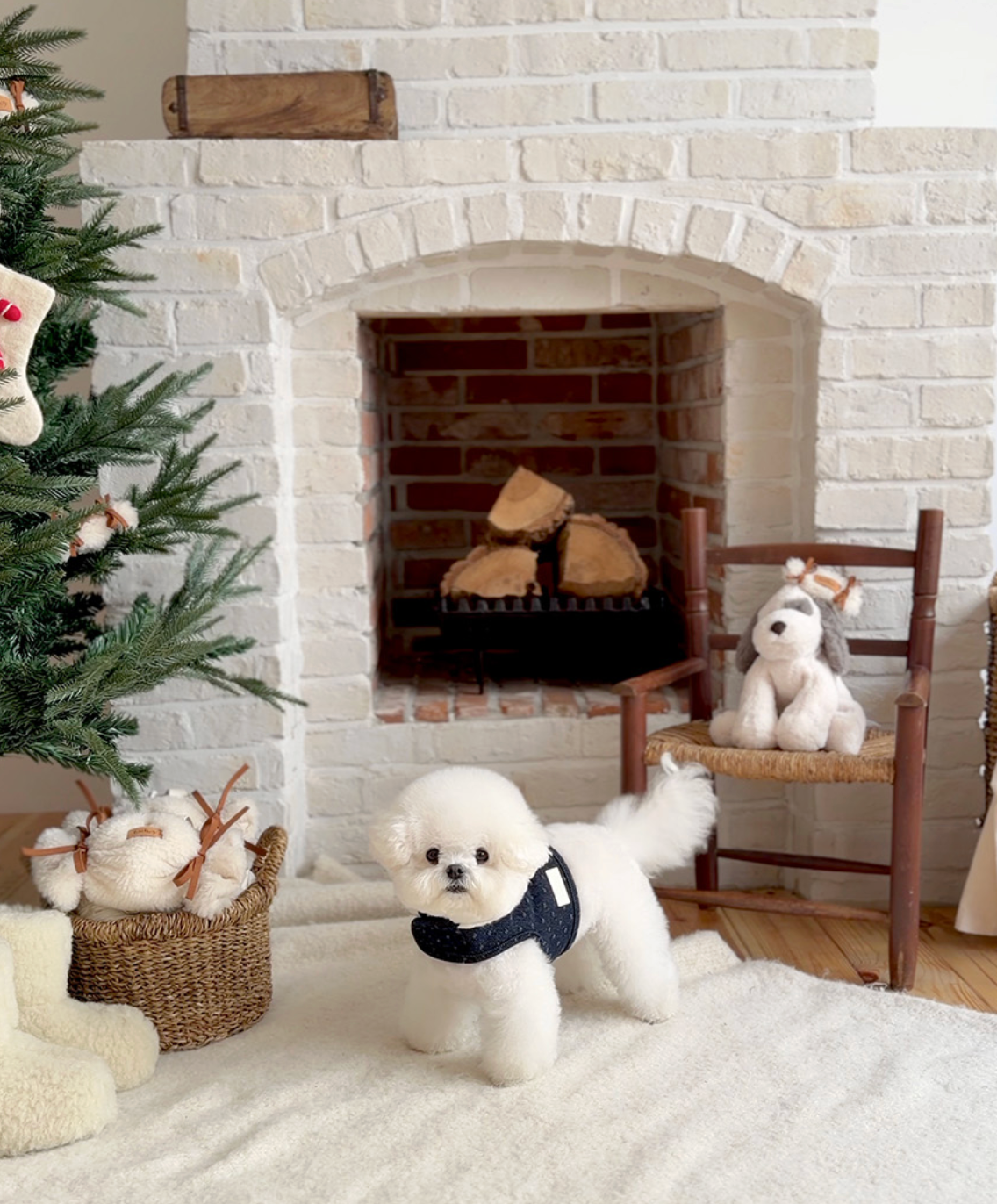 ★即納【todley】Dotty Noël Harness｜トドリー ドッティ ノエル ハーネス