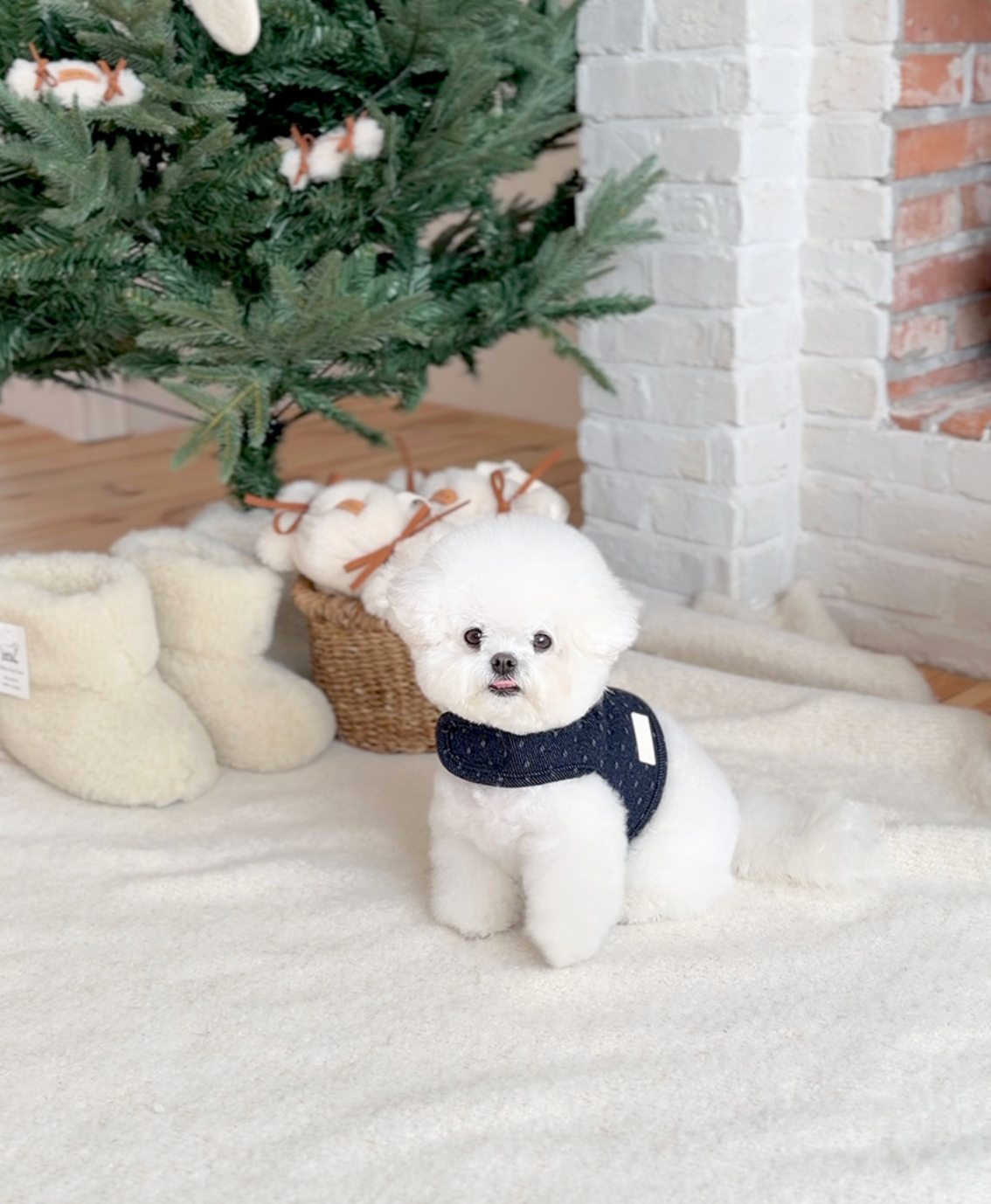 ★即納【todley】Dotty Noël Harness｜トドリー ドッティ ノエル ハーネス