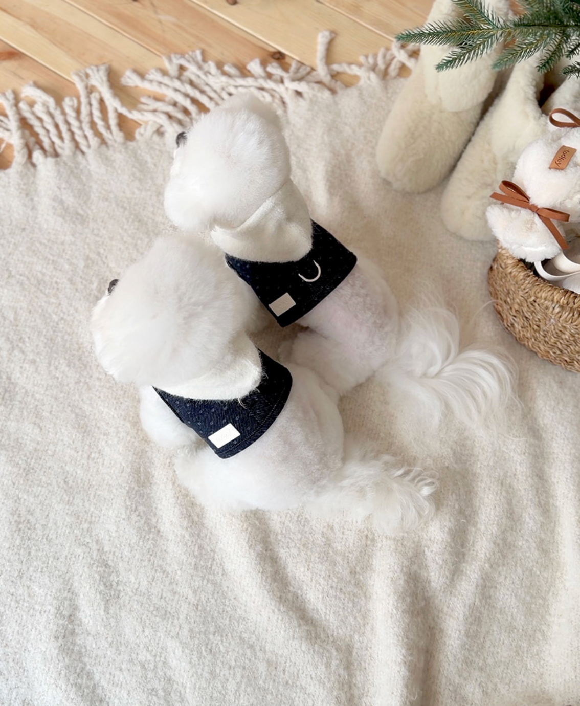 ★即納【todley】Dotty Noël Harness｜トドリー ドッティ ノエル ハーネス