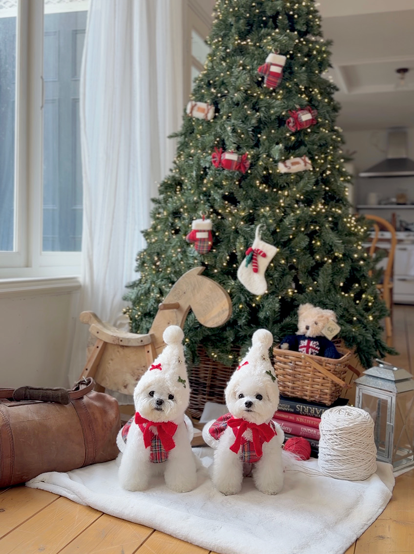 ★即納【todley】Christmas Elf Hat｜トドリー クリスマス エルフ ハット