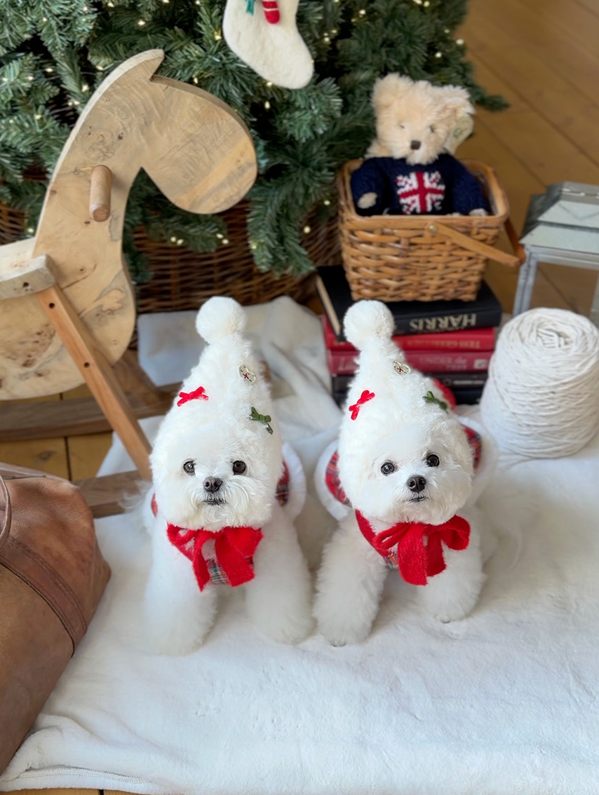 ★即納【todley】Christmas Elf Hat｜トドリー クリスマス エルフ ハット