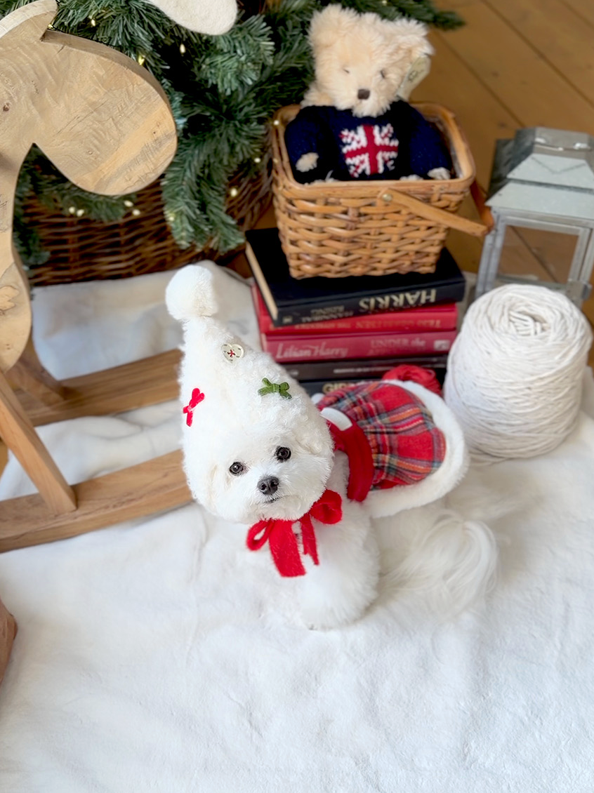 ★即納【todley】Christmas Elf Hat｜トドリー クリスマス エルフ ハット