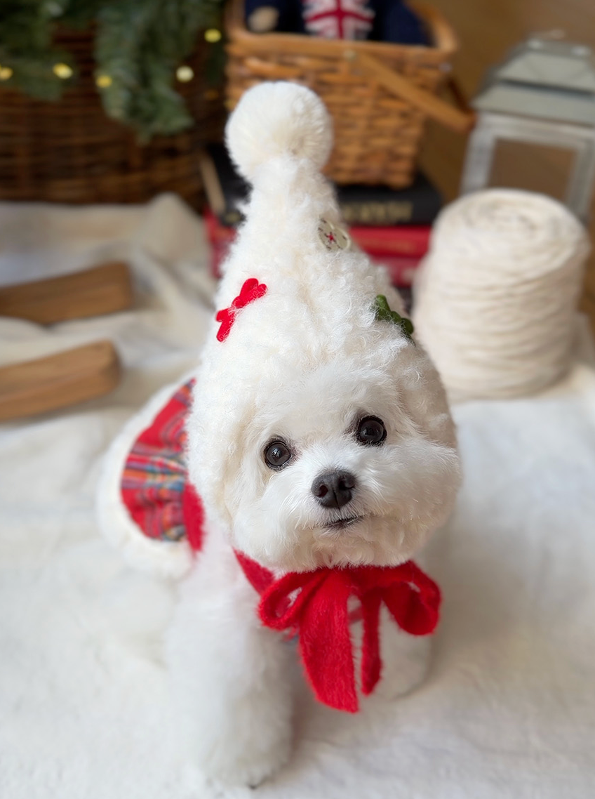 ★即納【todley】Christmas Elf Hat｜トドリー クリスマス エルフ ハット