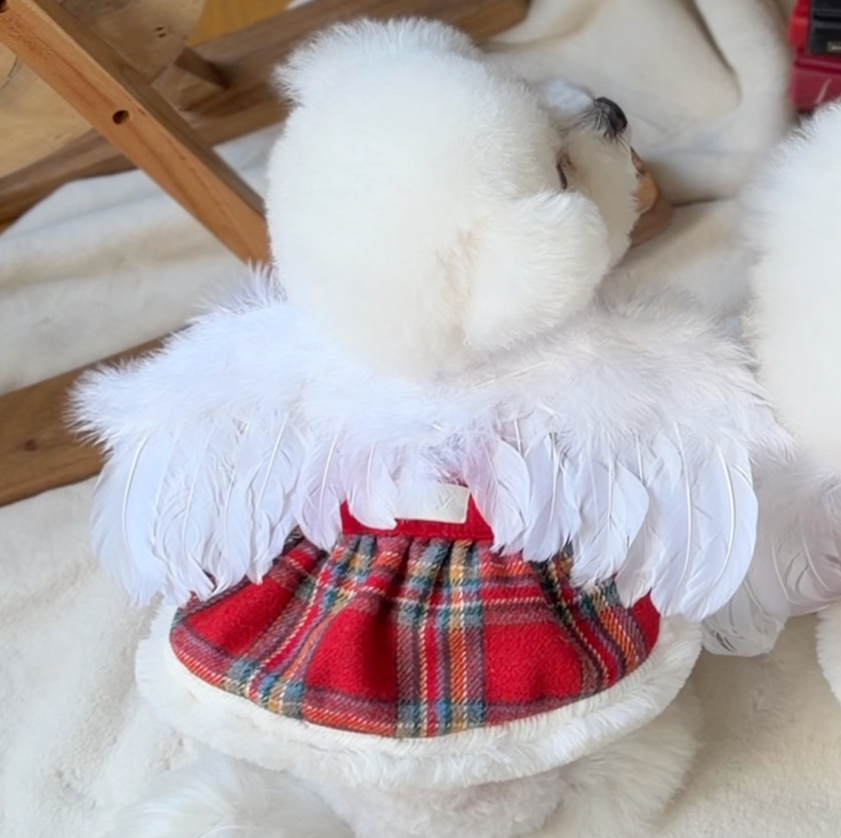 ★即納【todley】Christmas Elf Wing｜トドリー クリスマス エルフ ウィング