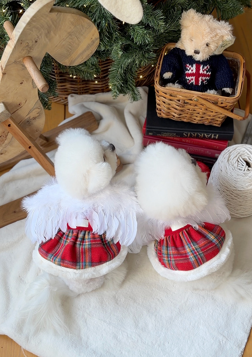 ★即納【todley】Christmas Elf Wing｜トドリー クリスマス エルフ ウィング