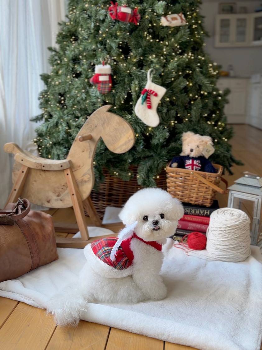 ★即納【todley】Christmas Elf Wing｜トドリー クリスマス エルフ ウィング