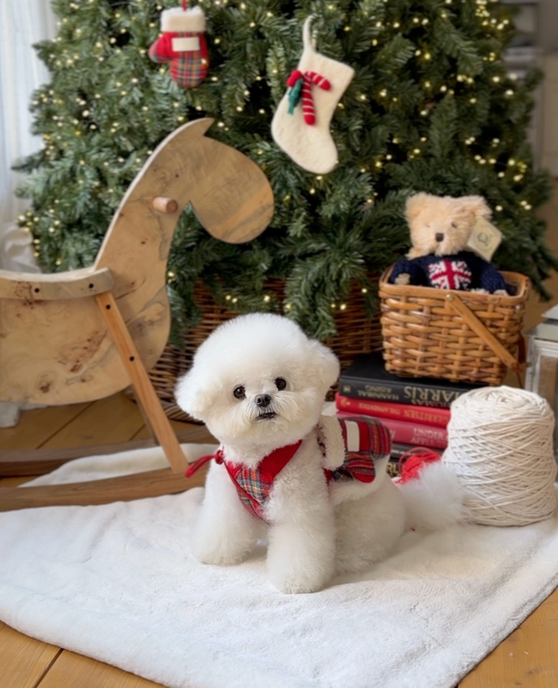 ★即納【todley】christmas glove poop bag｜トドリー クリスマス グローブプープーバッグ