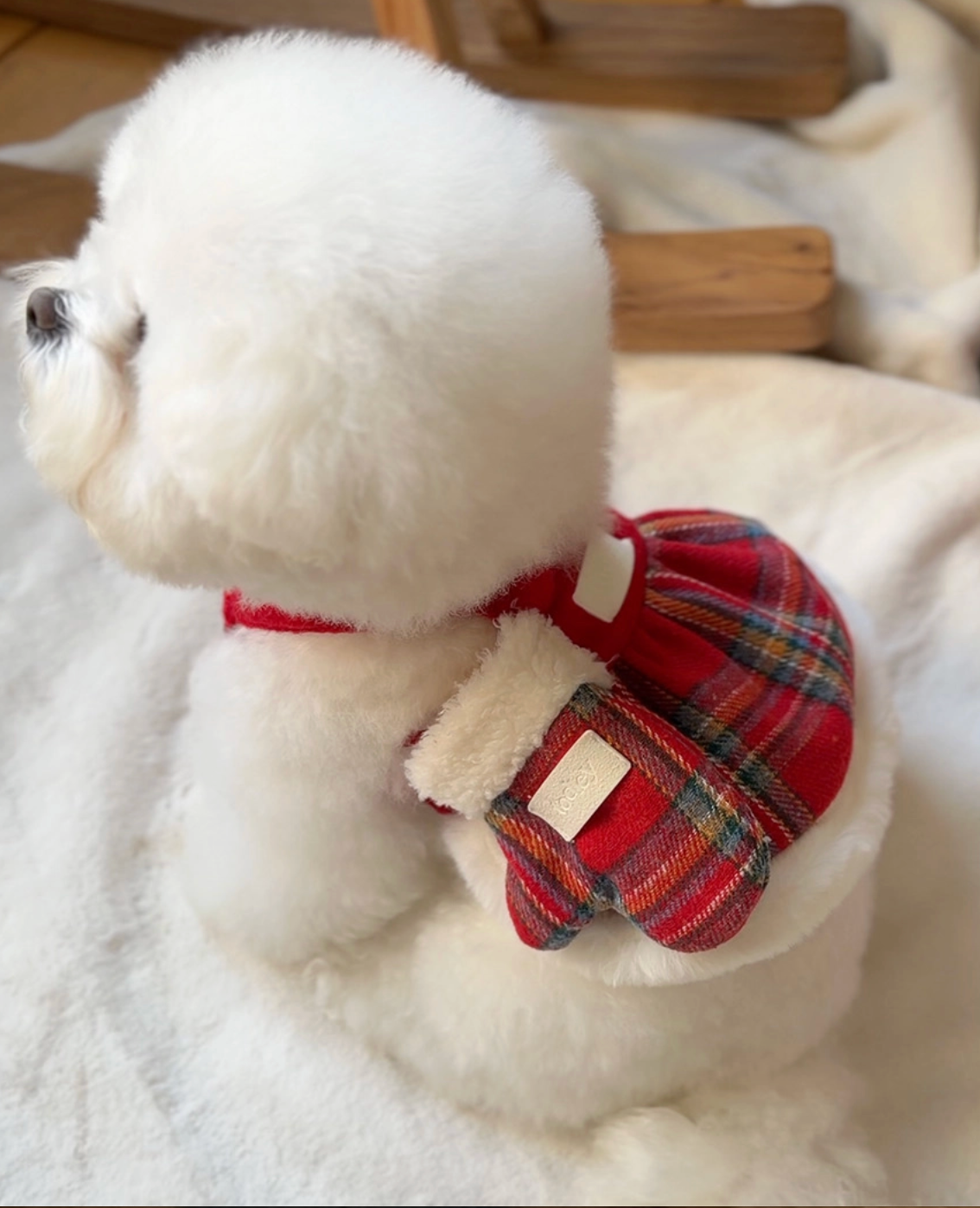 ★即納【todley】christmas glove poop bag｜トドリー クリスマス グローブプープーバッグ