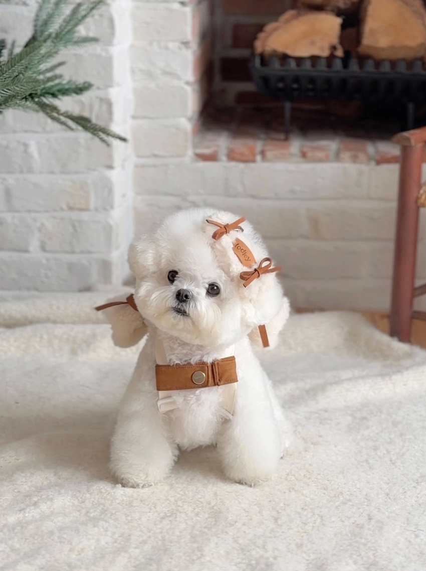 ★即納　【todley】Teddy Candy Hair Pin｜トドリー テディキャンディ ヘアピン