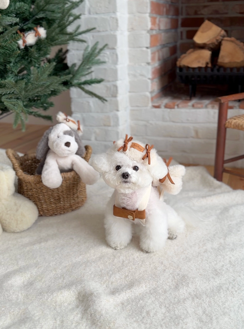 ★即納　【todley】Teddy Candy Hair Pin｜トドリー テディキャンディ ヘアピン