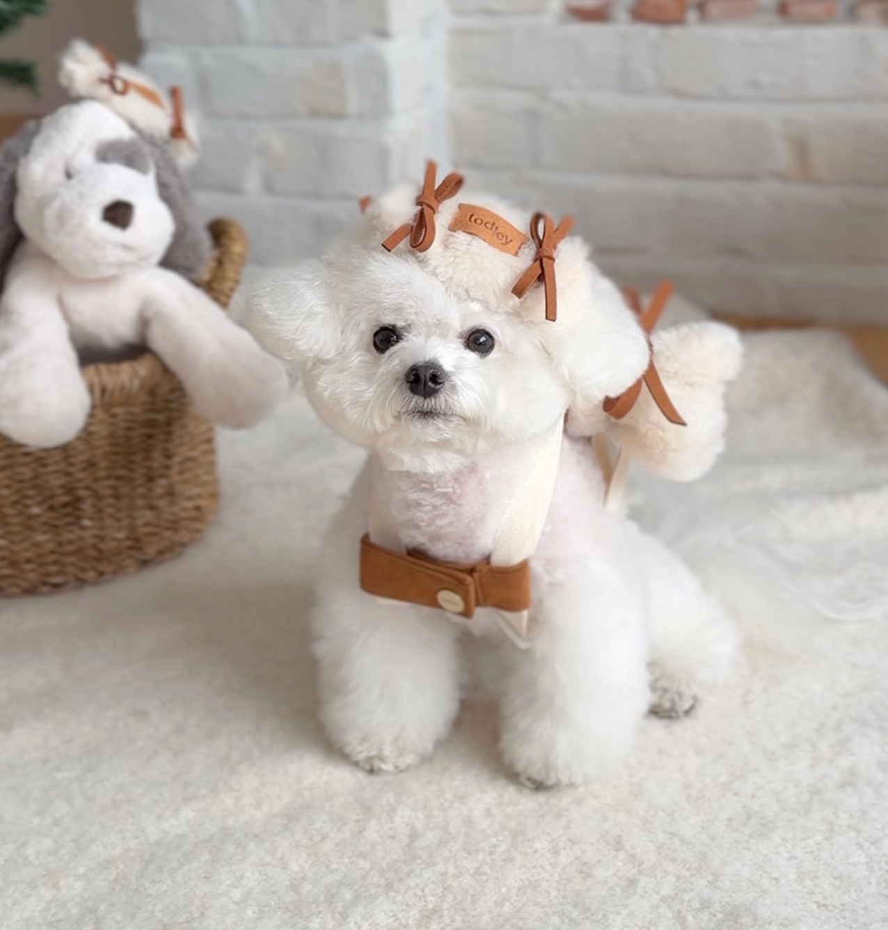 ★即納【todley】Teddy Candy Bag Pack｜トドリー テディ キャンディ バック パックS｜M｜L