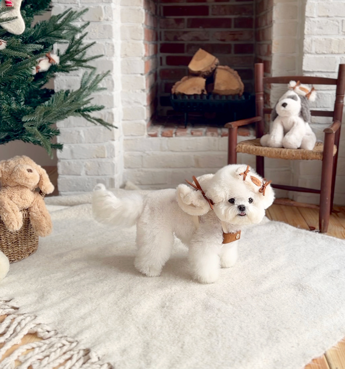 ★即納【todley】Teddy Candy Bag Pack｜トドリー テディ キャンディ バック パックS｜M｜L