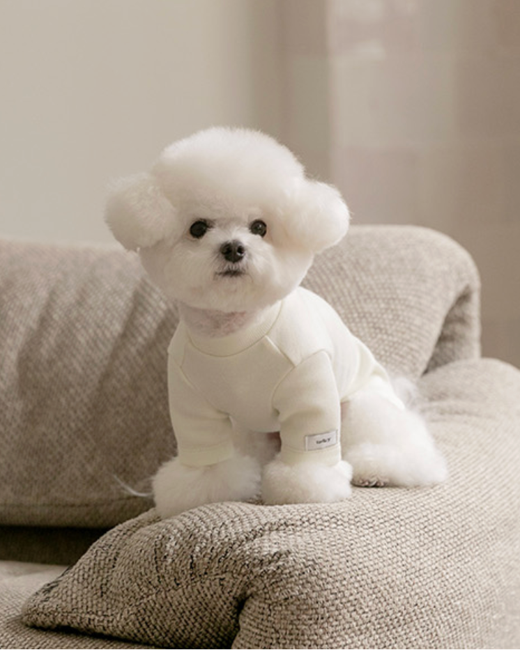 ★即納【todley】New Turtleneck｜トドリー ニュータートルネック