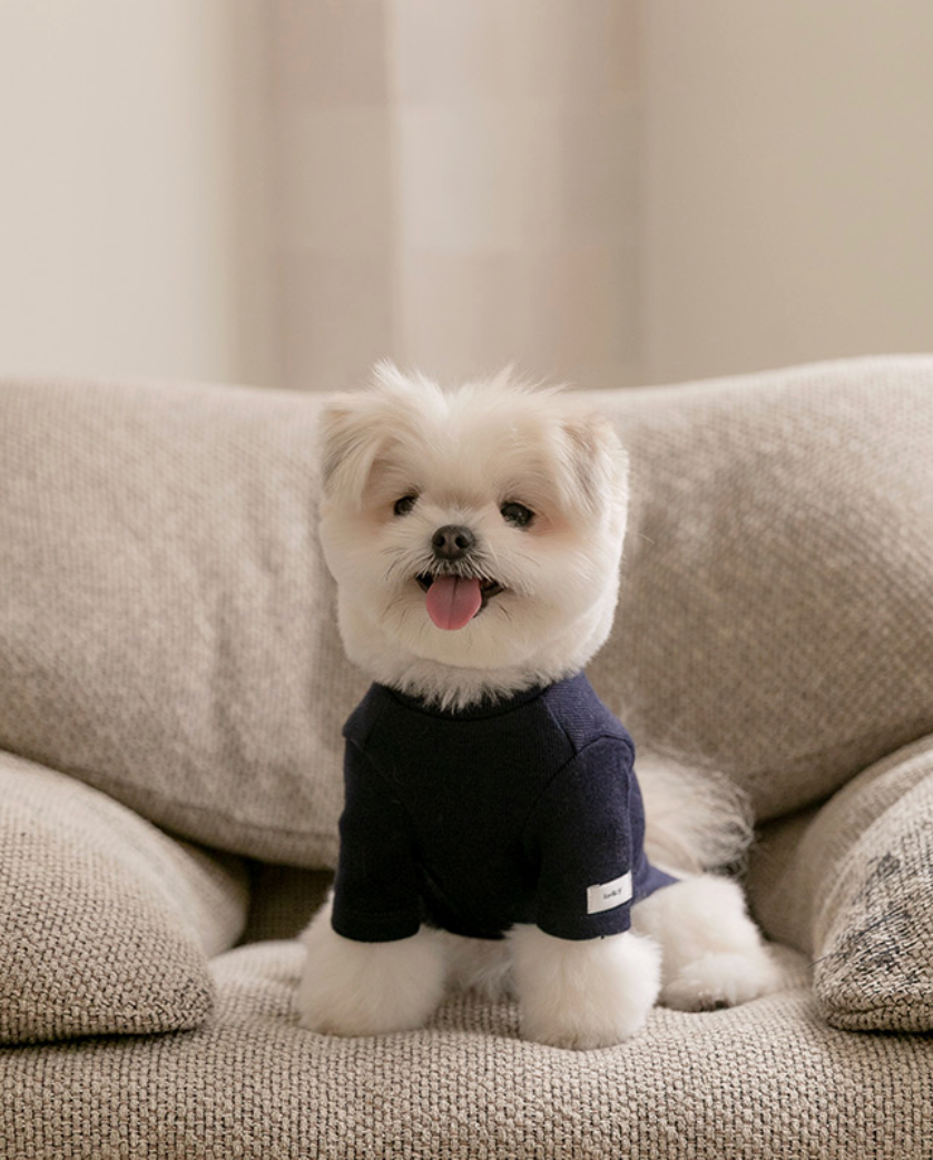 ★即納【todley】New Turtleneck｜トドリー ニュータートルネック