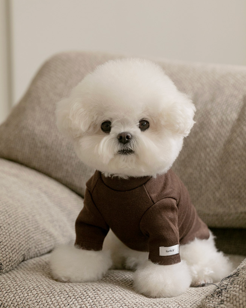 ★即納【todley】New Turtleneck｜トドリー ニュータートルネック