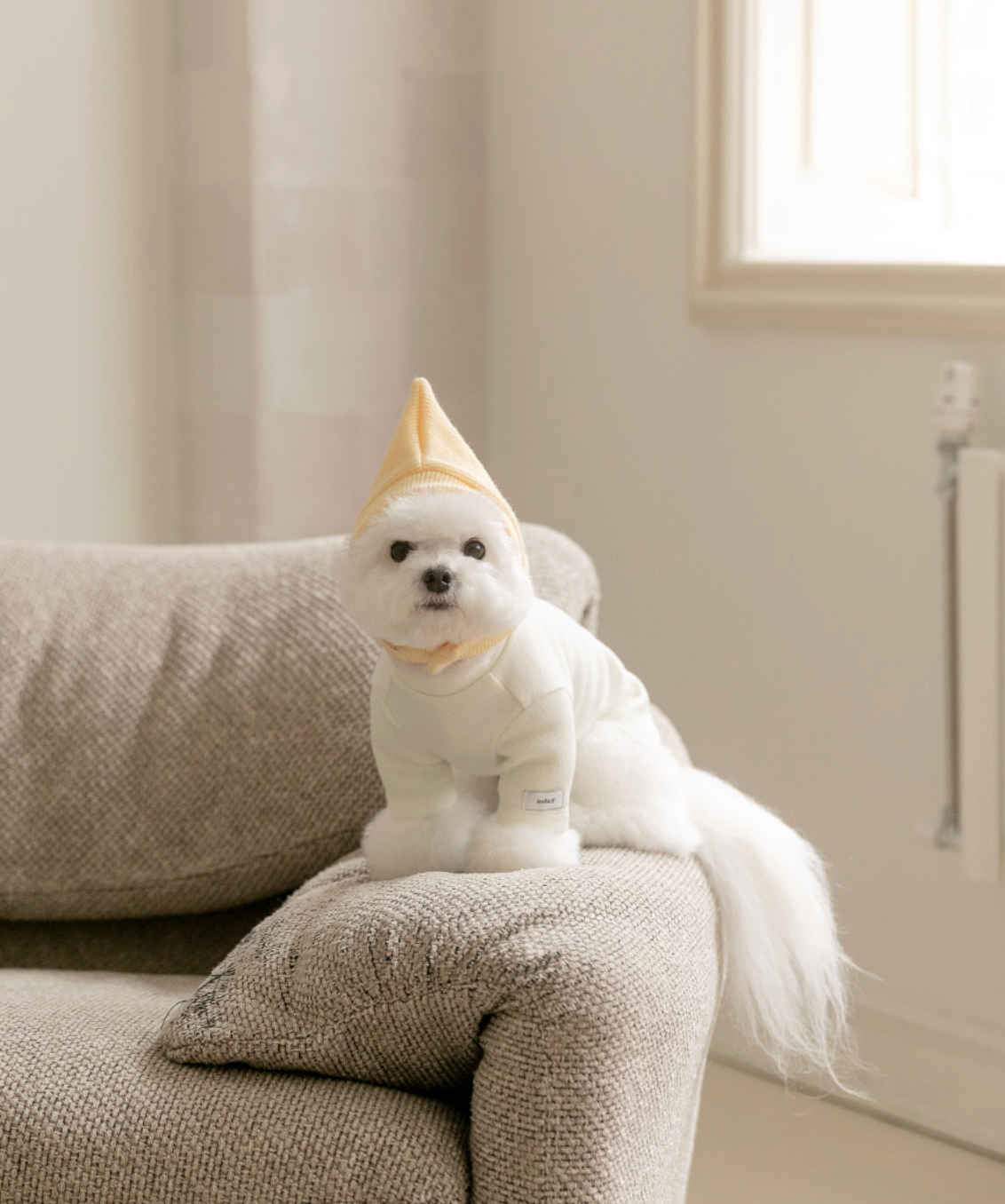 ★即納【todley】New Turtleneck｜トドリー ニュータートルネック