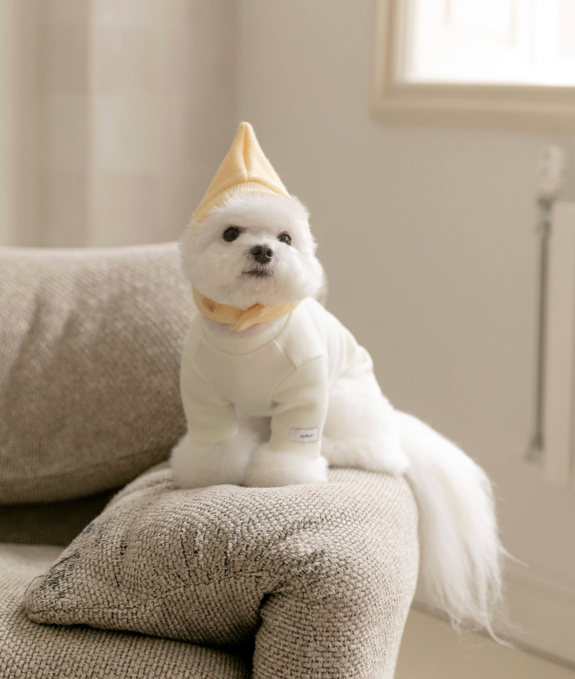 ★即納【todley】New Turtleneck｜トドリー ニュータートルネック