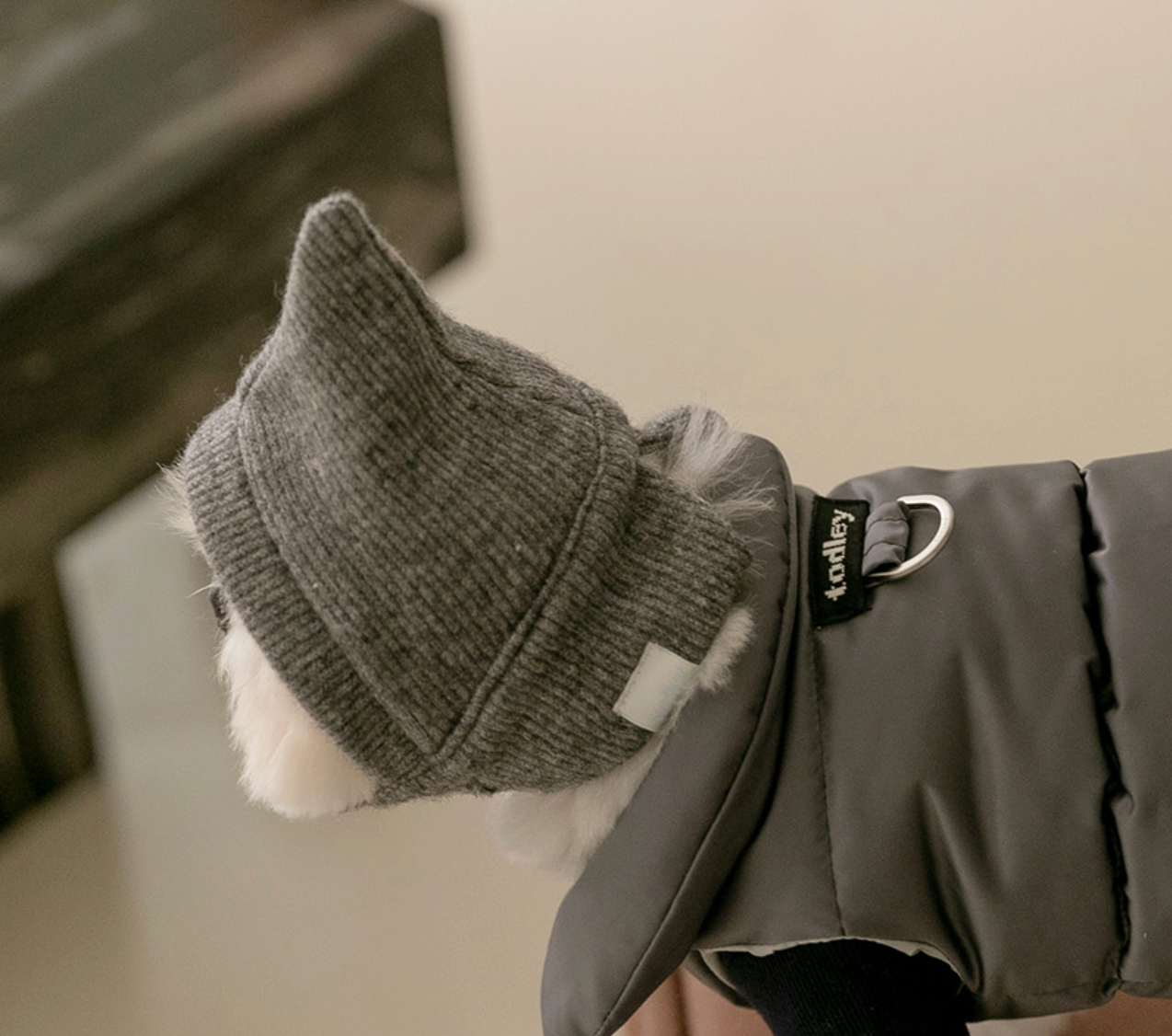 ★即納【todley】Mignon Balaclava｜トドリー ミニョン バラクラバ