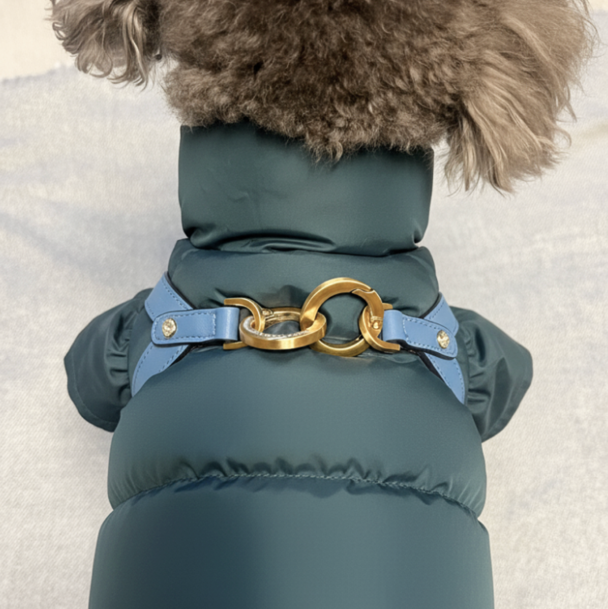 NEW｜予約商品【BERRY MARCH】INFINITY HARNESS｜Nordic Blue