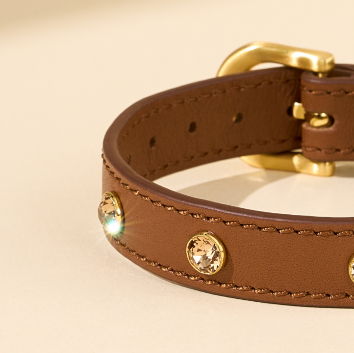 予約商品【BERRY MARCH 】Stella Collar｜Lion