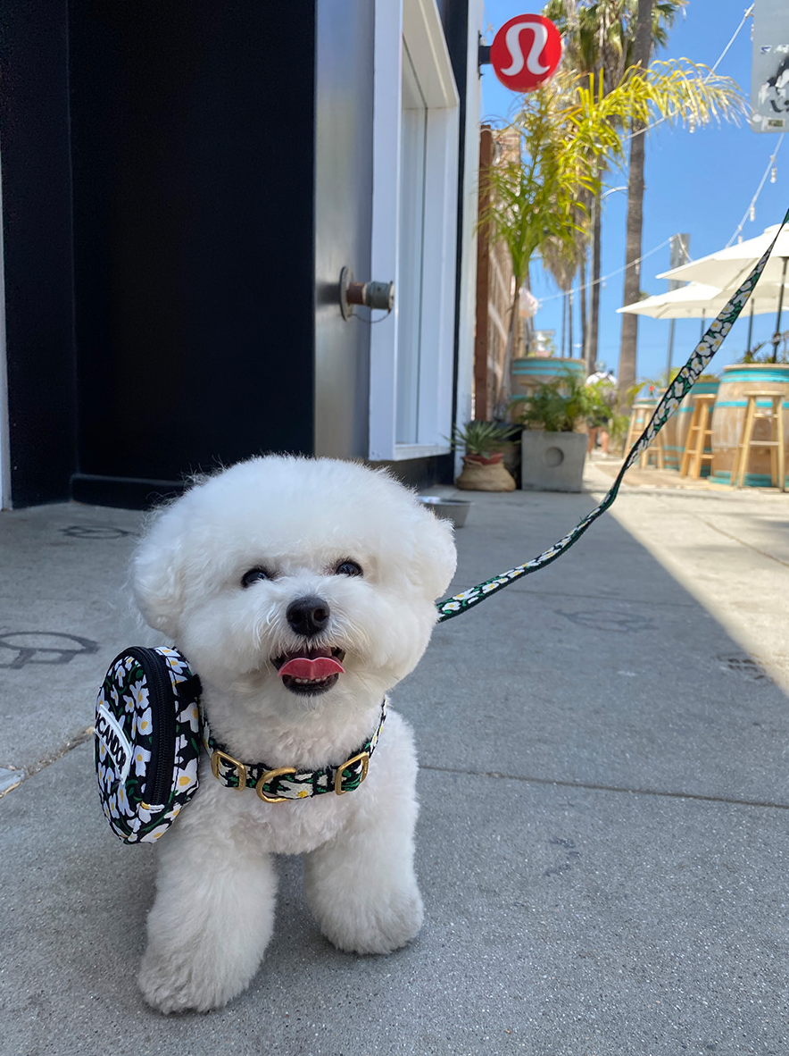 即納【iCANDOR】Dingle-Dangle Bag｜BIG FISH