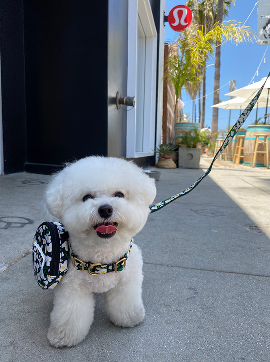 即納【iCANDOR】Dingle-Dangle Bag｜BIG FISH