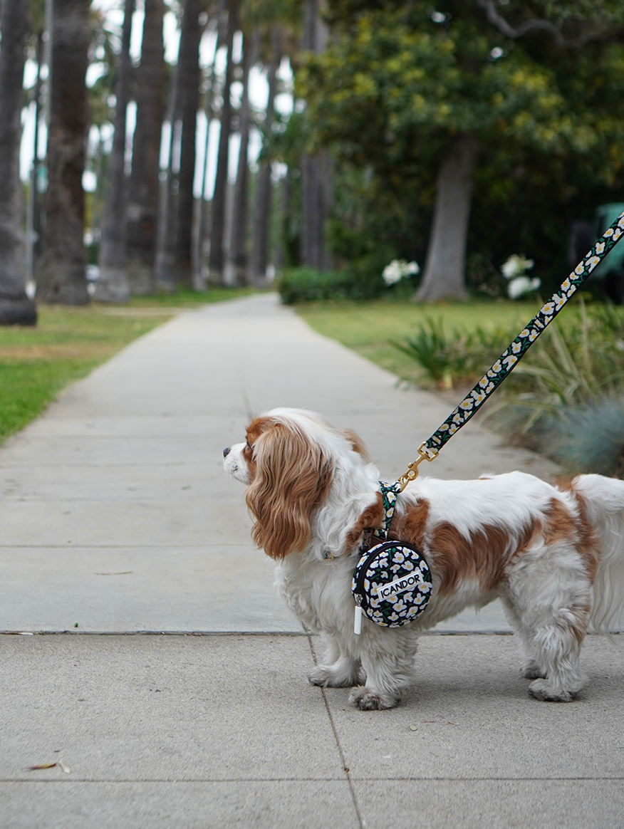 即納【iCANDOR】Dingle-Dangle Bag｜BIG FISH