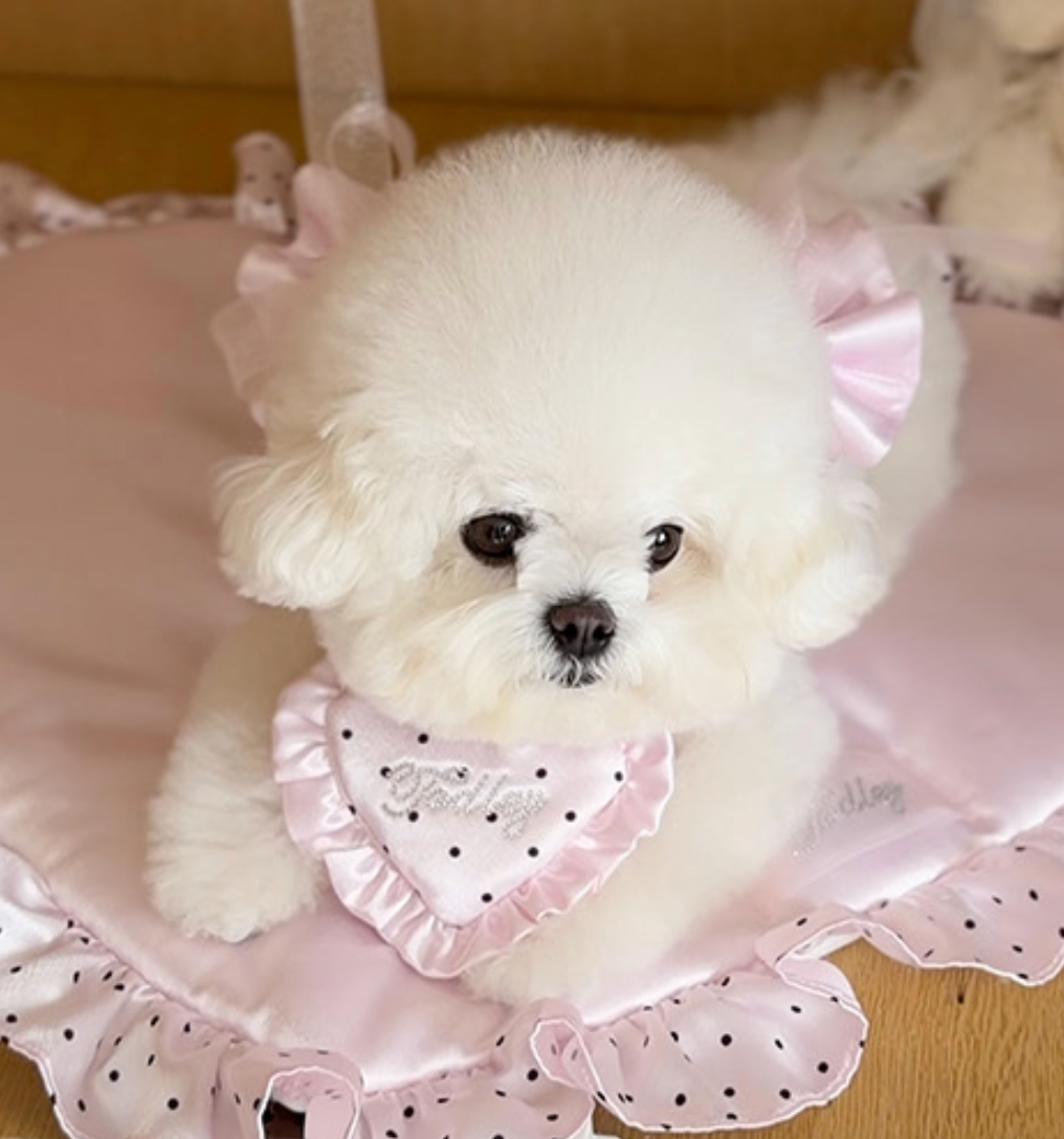 NEW｜即納【todley】Dear Love Heart Bib｜S,M