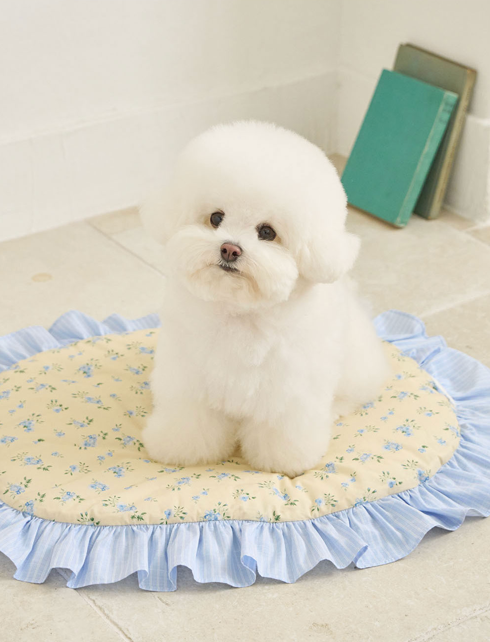 NEW｜即納【It’s Sunny Outside】 Preppy Cushion