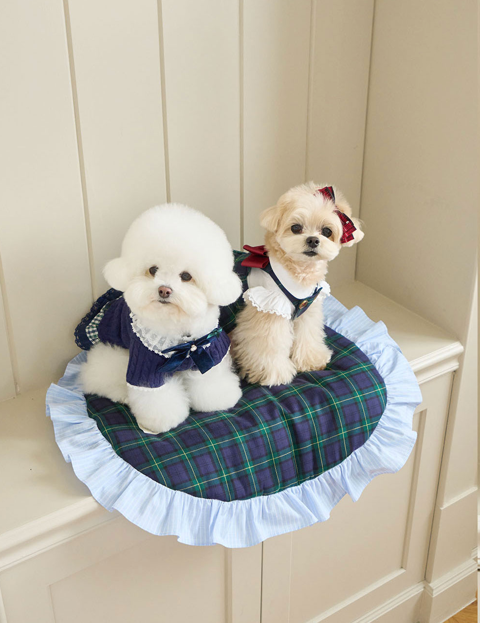 NEW｜即納【It’s Sunny Outside】 Preppy Cushion