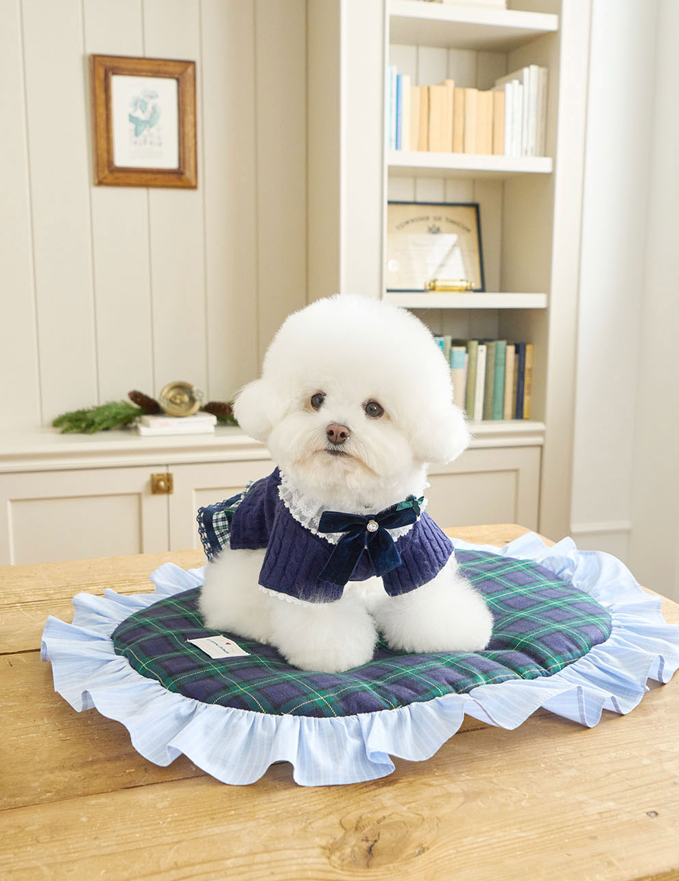 NEW｜即納【It’s Sunny Outside】 Preppy Knit Cardigan